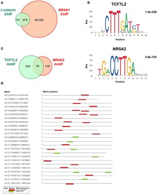 A reappraisal of transcriptional regulation by NR5A1 and beta-catenin in adrenocortical carcinoma